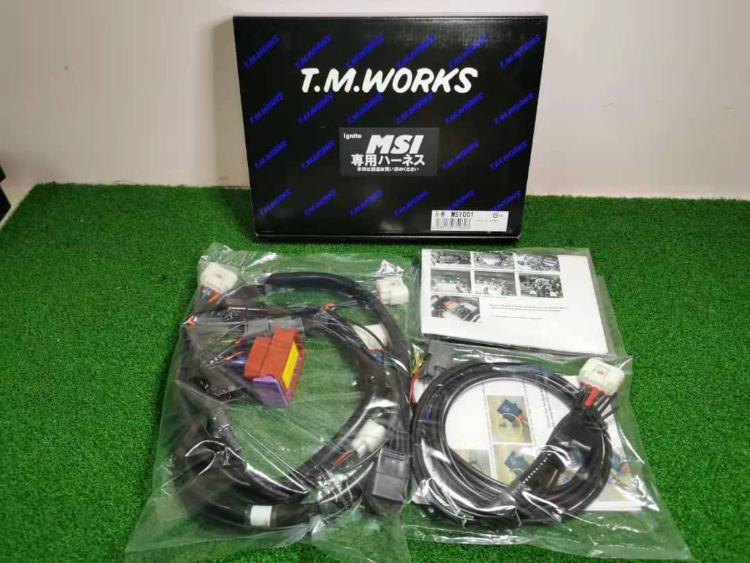 T.M.WORKS Ignite VSD alpha 16v BP/BL スバル