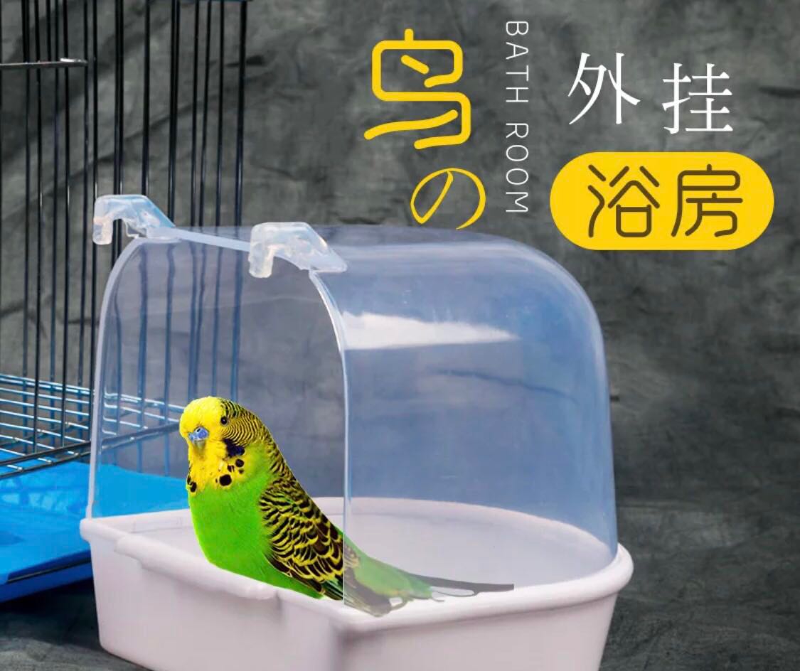Birds baths, Pet Supplies, Homes & Other Pet Accessories on Carousell