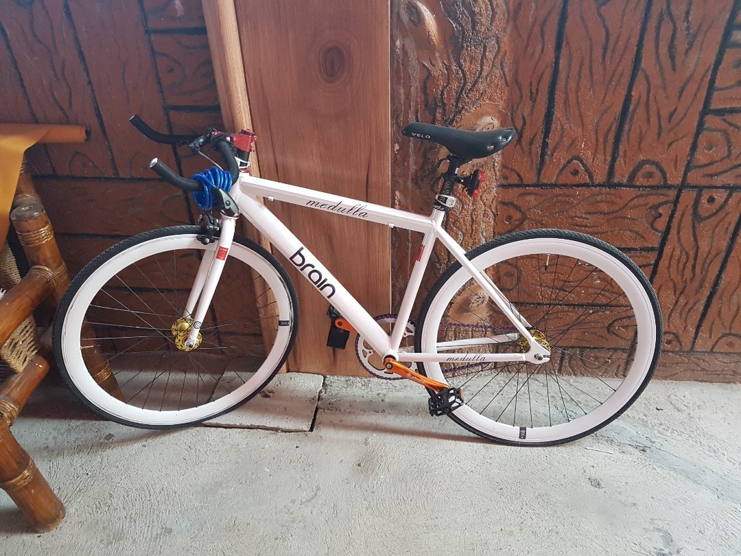 Brain fixie new arrivals