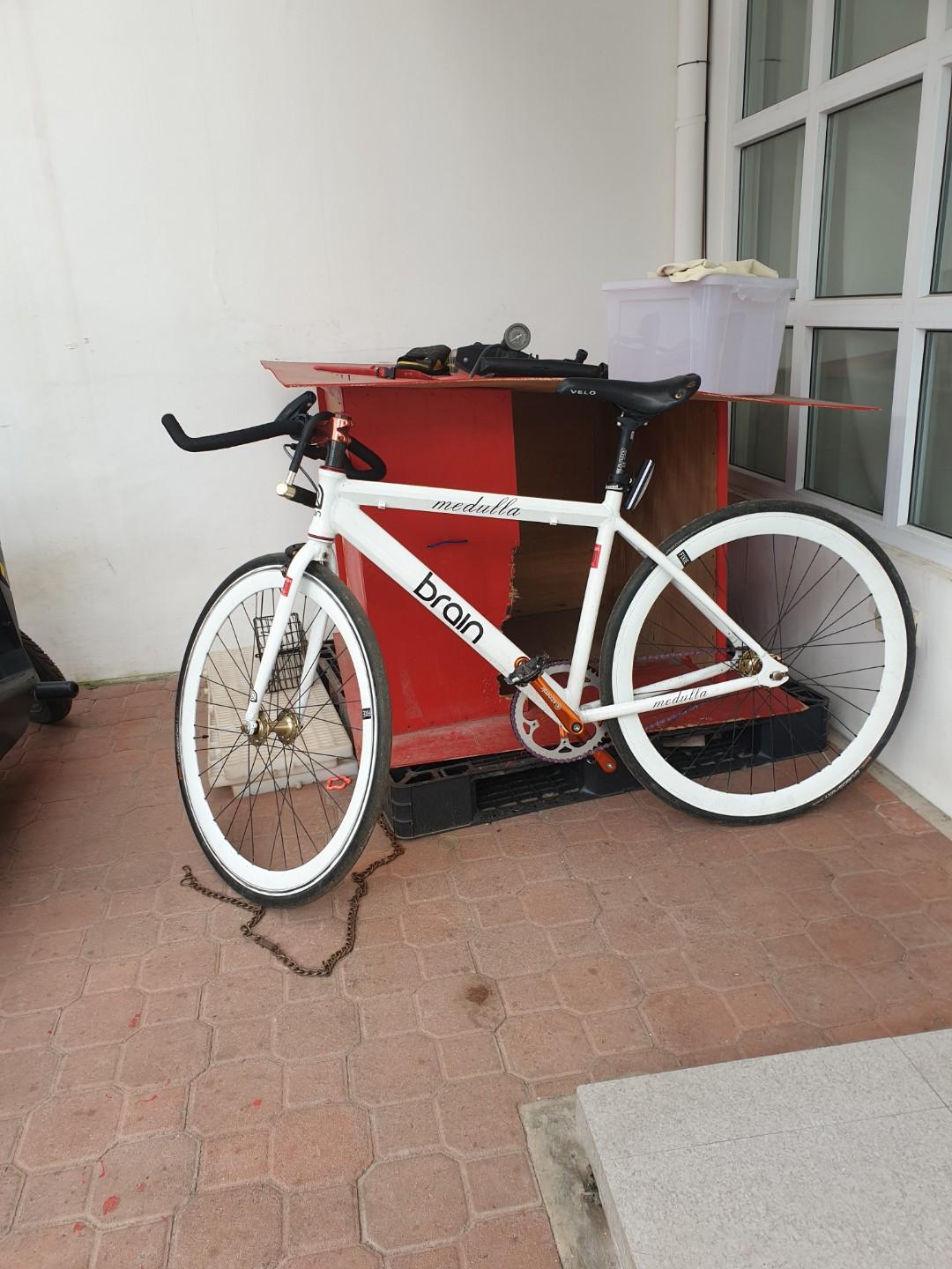 Fixie Medulla Brain, Sports Equipment, Bicycles & Parts, Bicycles on ...