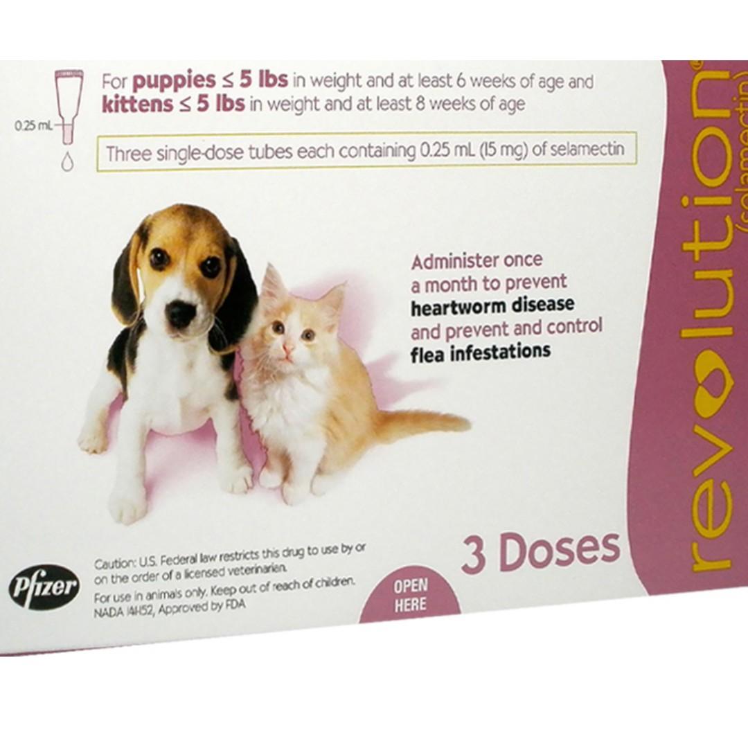 Revolution for cats best price cheap