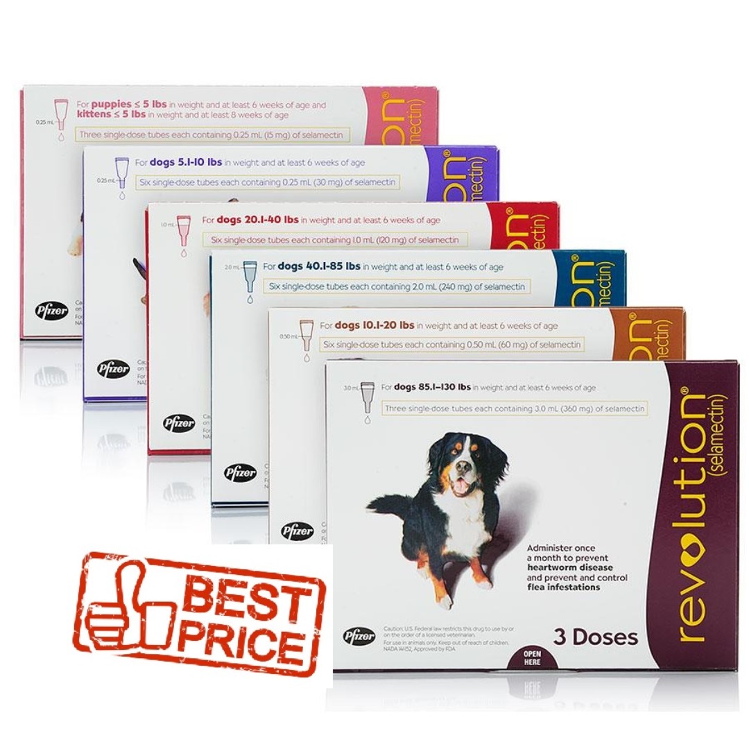 Revolution for dogs 2025 price