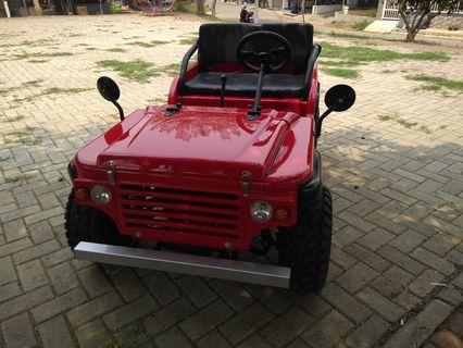 Jeep Mini - Land Rover Defender
