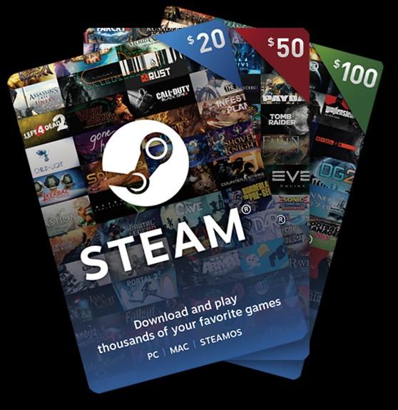 Steam 100$ E-Gift Card