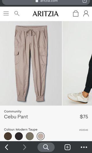 Aritzia Cargo Pant size Small