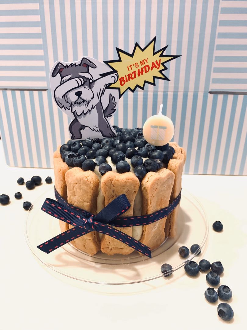 blueberry cake for dogs
