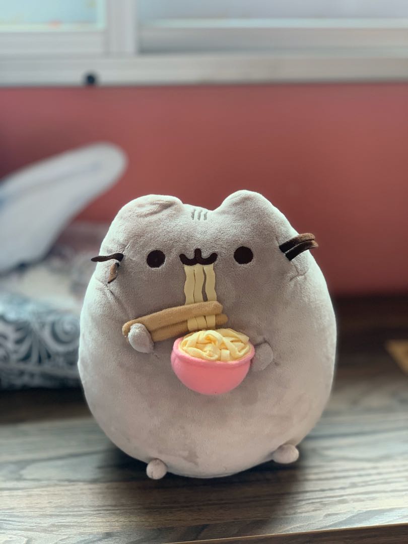 Pusheen eating ramen plush best sale