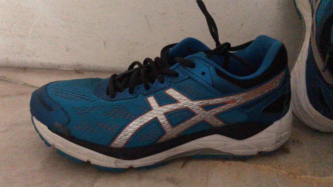 asic gel fortitude