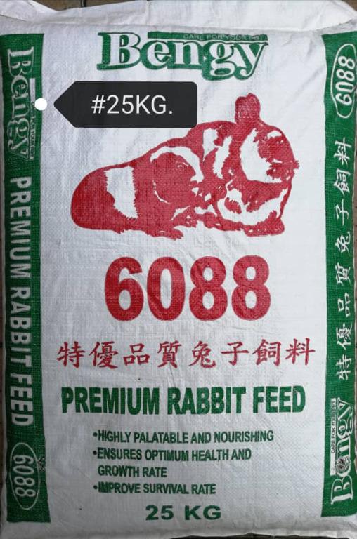 Bengy rabbit cheap food