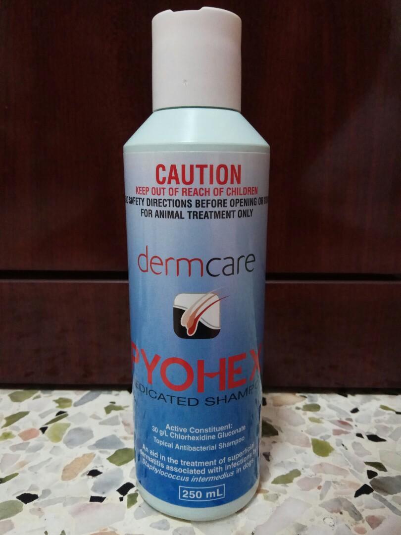 dermcare pyohex medicated shampoo