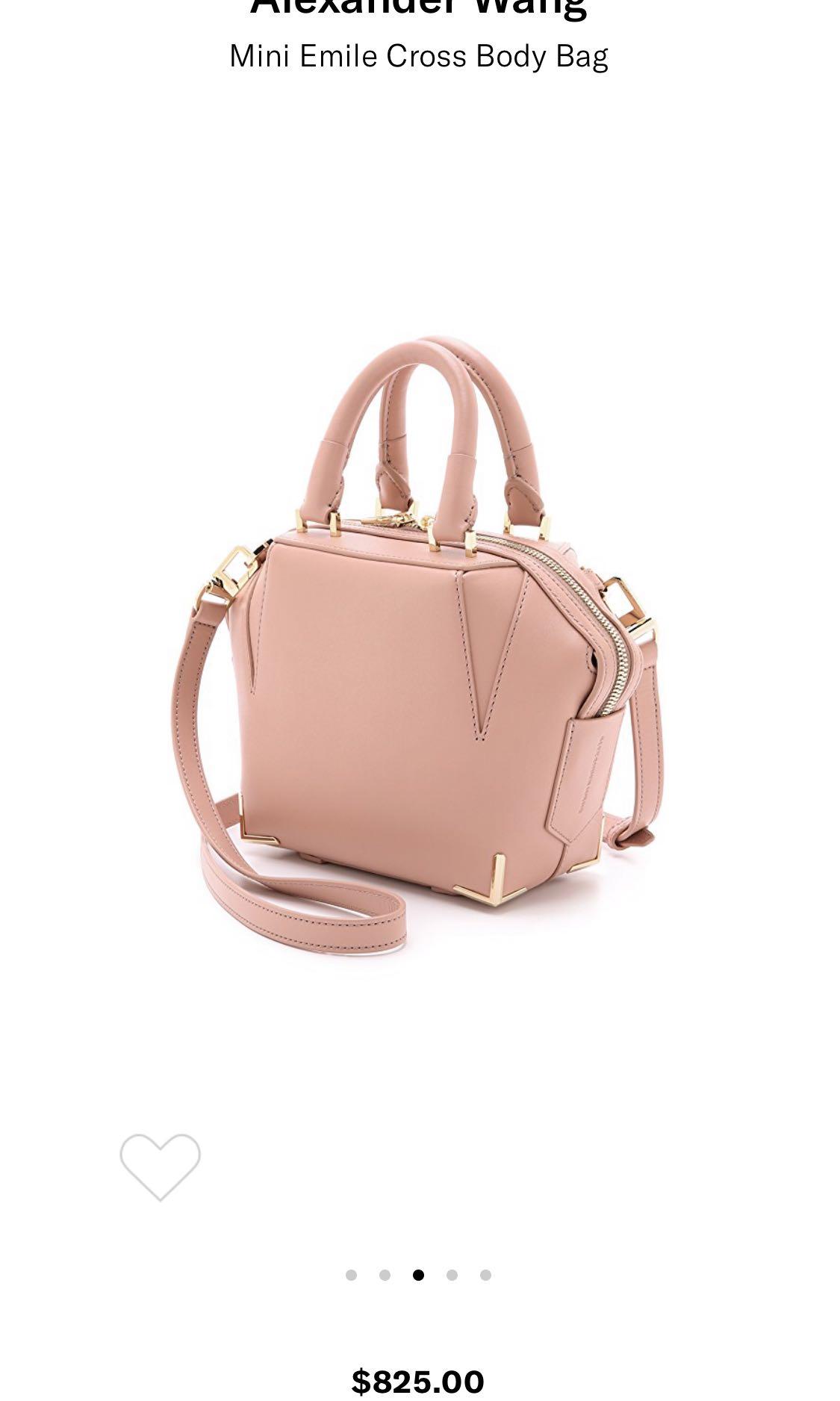 Alexander wang clearance mini emile