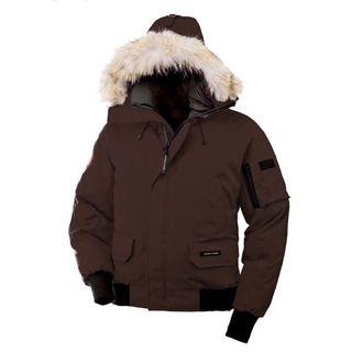 Men’s Canada Goose Brown chiliwack bomber