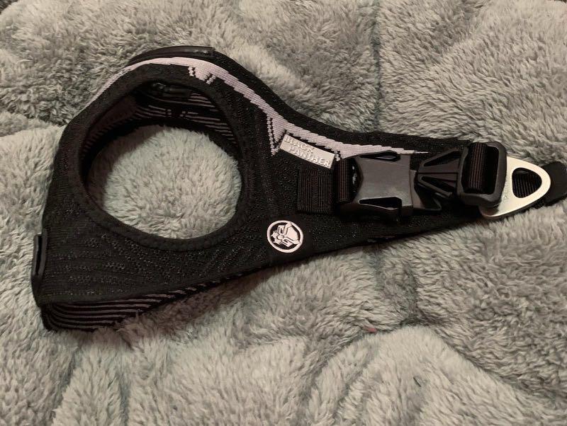 Dog Harness Air Fly (Marvel Black Panther), Pet Supplies, Homes