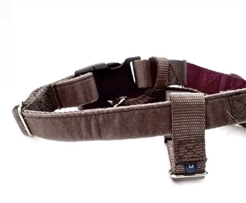 victoria stilwell no pull harness