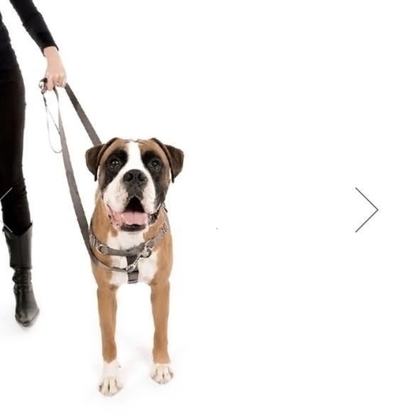 victoria stilwell dog harness