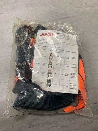 Safety Harness