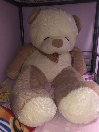 kaison teddy bear