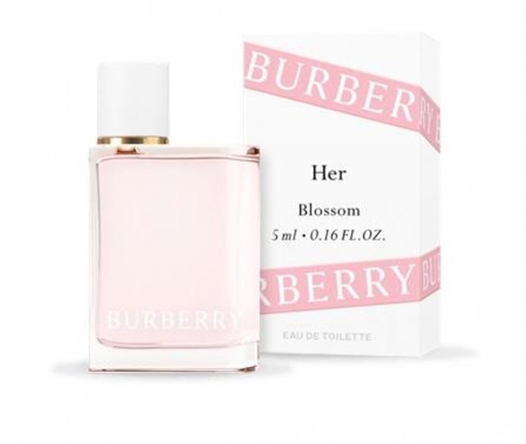 burberry her mini