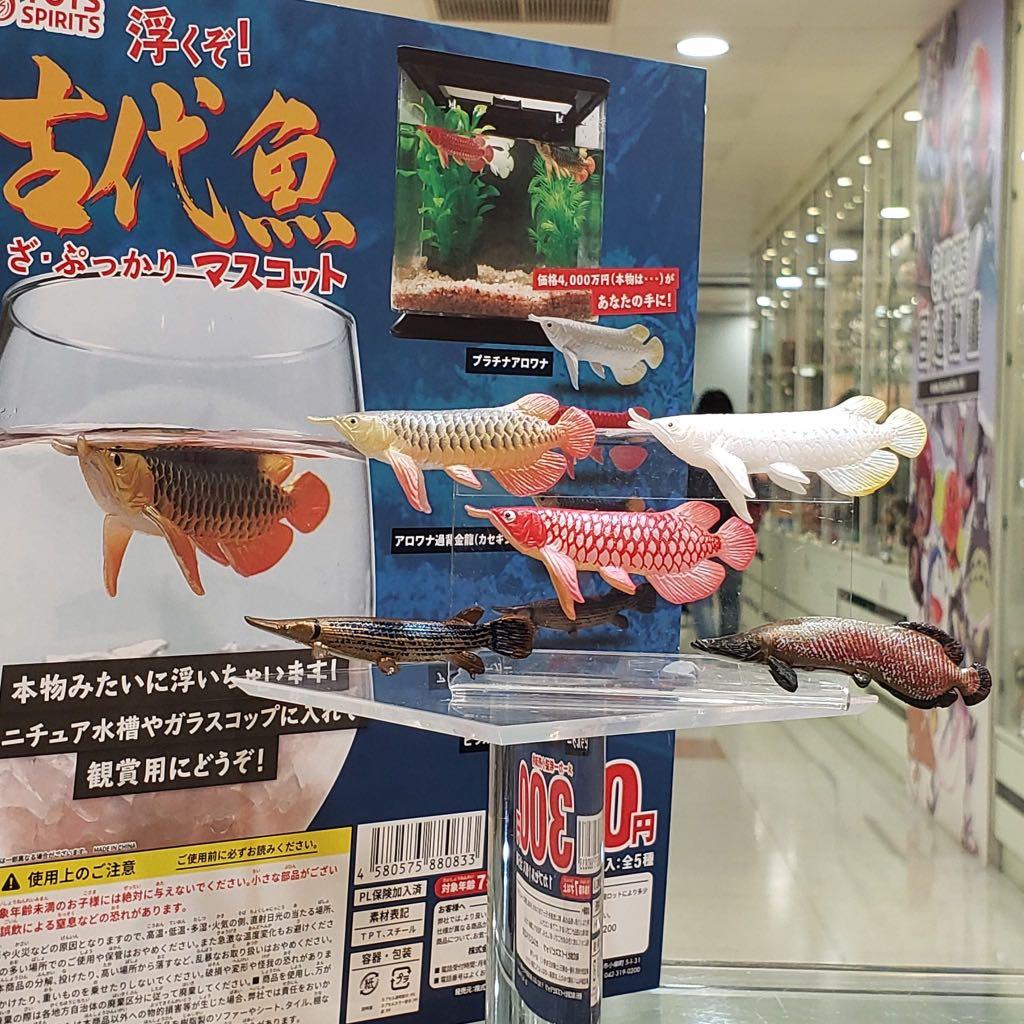 日通動畫日版toys Spirits 浮游古代魚全套五種 6cm 現貨發售中每套115元 玩具 遊戲類 玩具 Carousell 日通動畫日版toys Spirits 浮游古代魚全套五種 6cm 現貨發售中每套115元 玩具 遊戲類 玩具 Carousell