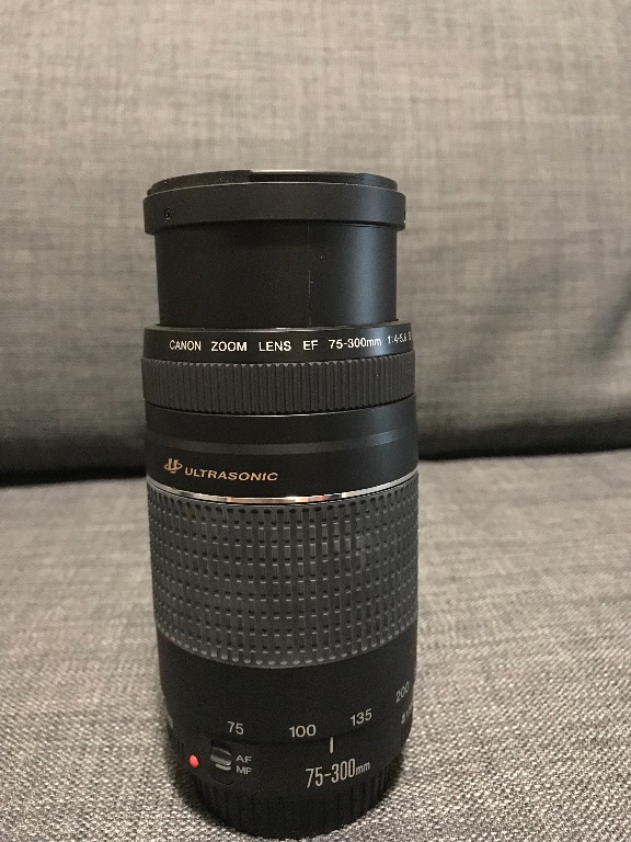 Canon EOS Rebel T3 with Canon Zoom Lens EF 75-300mm and Bag