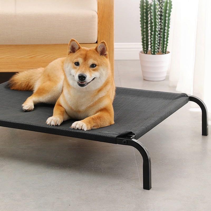 cot style dog bed