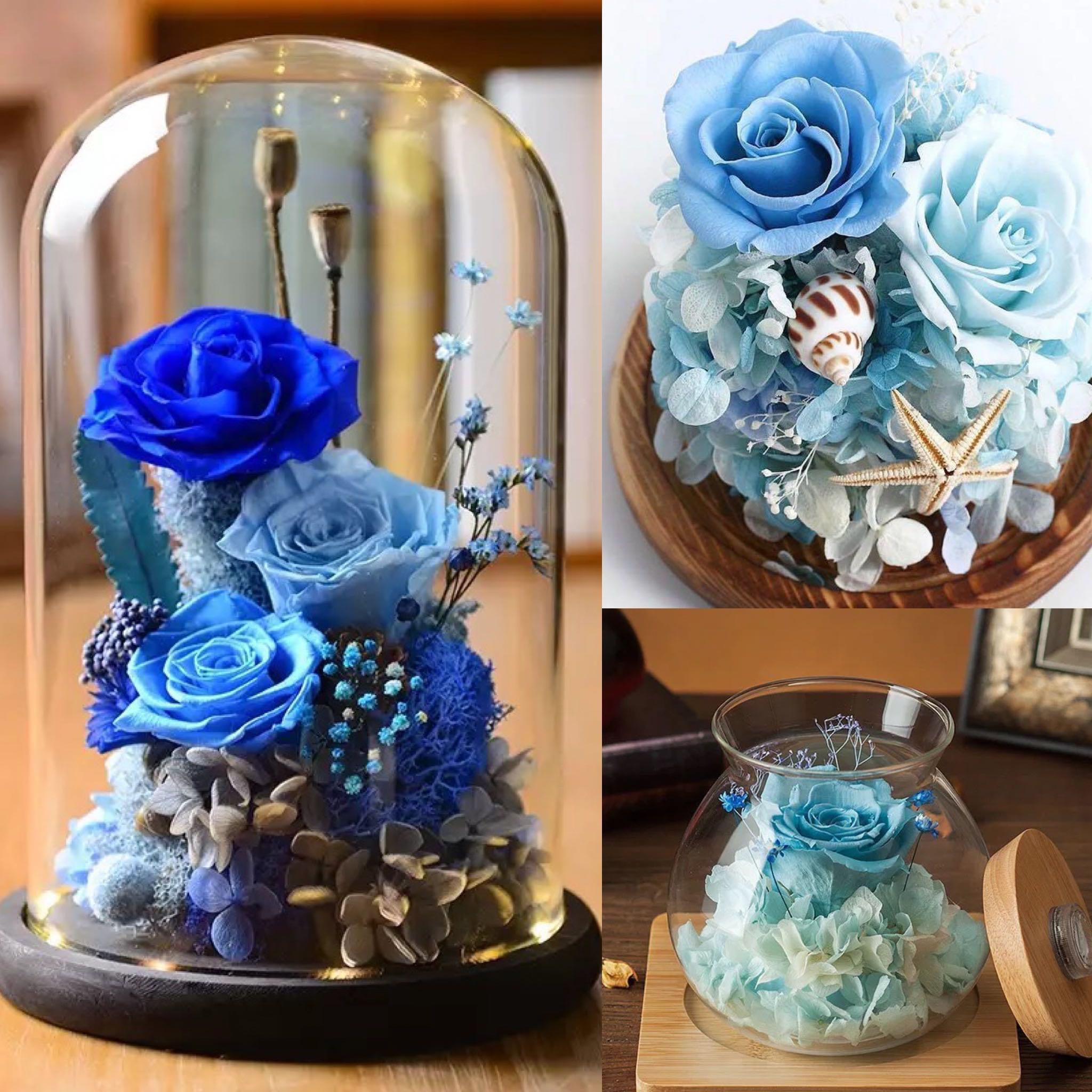 💖 Preserved Flowers Set 4 Preserved Roses Blue Rose Blue Theme