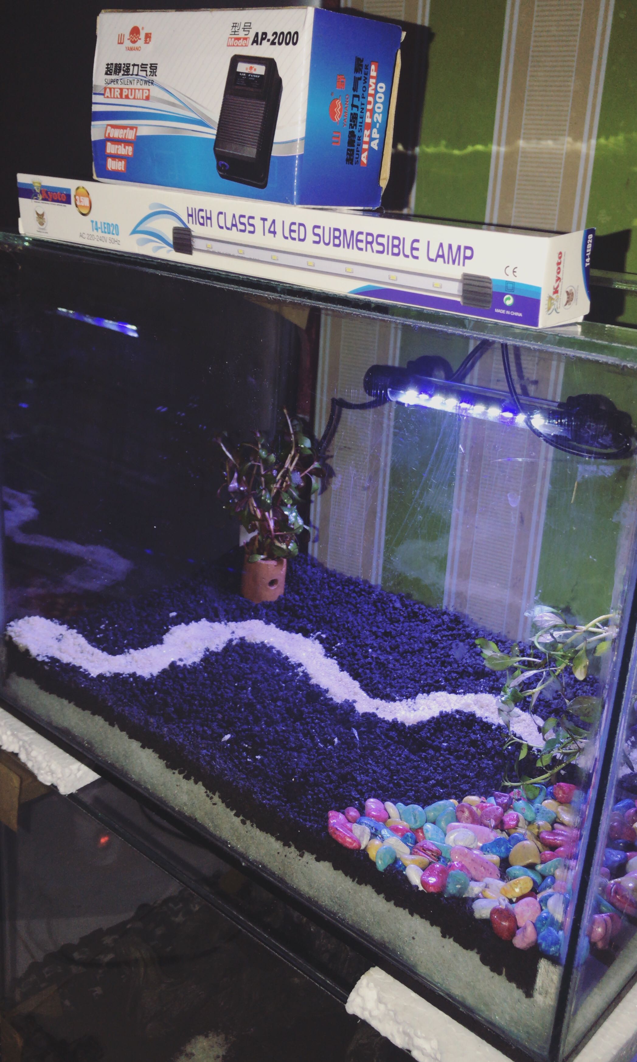 Aquarium Akuarium Uk 40 X 25 X 28 Perabotan Rumah Di Carousell Pasir panjang aquarium shop Aquarium Akuarium Uk 40 X 25 X 28 Perabotan Rumah Di Carousell Pasir panjang aquarium shop