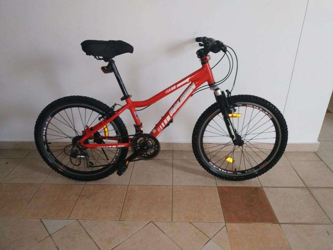 raleigh 24 mountain bike