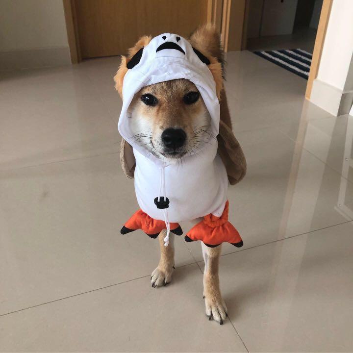 Porg costume dog store