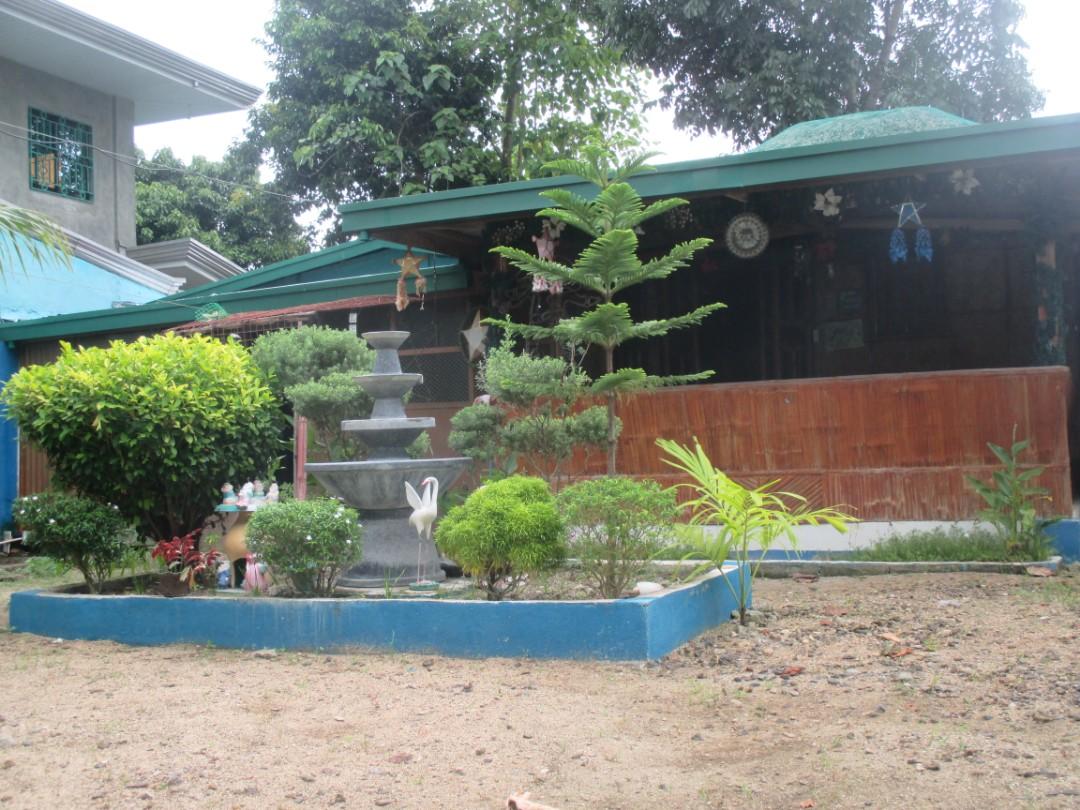 RUSH! House and Lot for Sale, 250 sq. meters, San Juans ...