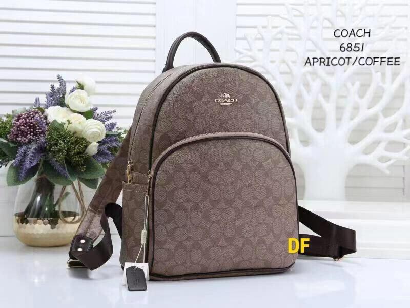 Beg hotsell coach 2019