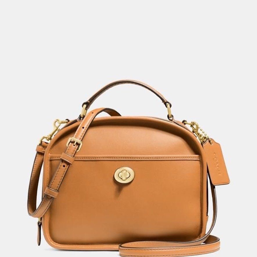 coach lunch bag