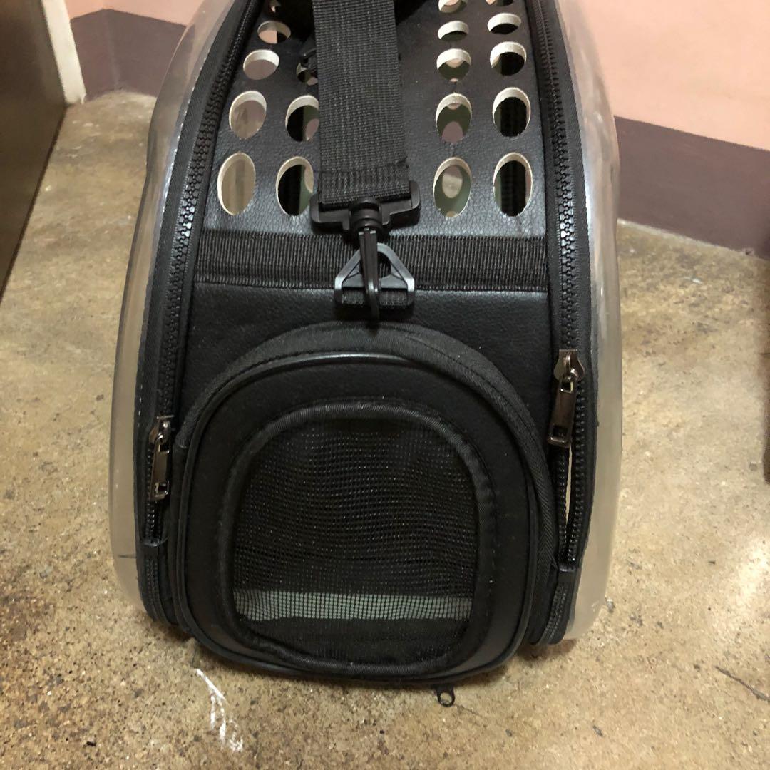 Foldable Pet Carrier, Pet Supplies, Homes & Other Pet Accessories on