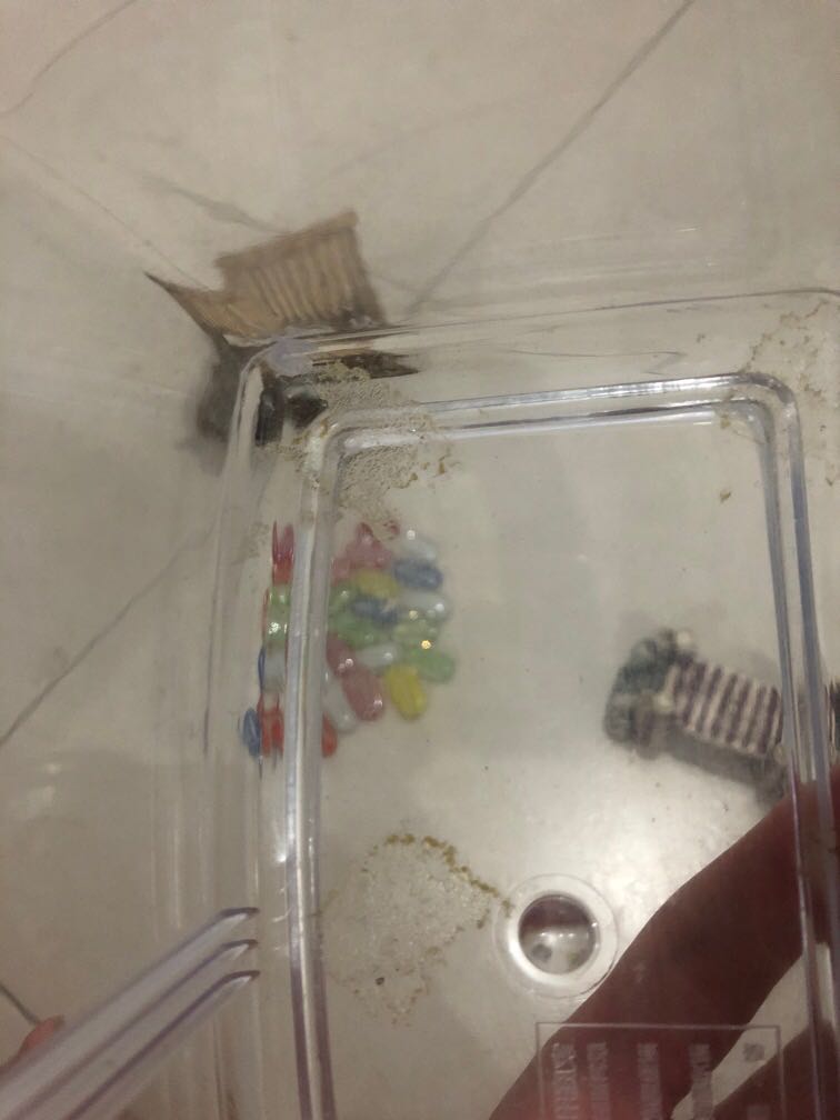 Plastic Small Fish tank