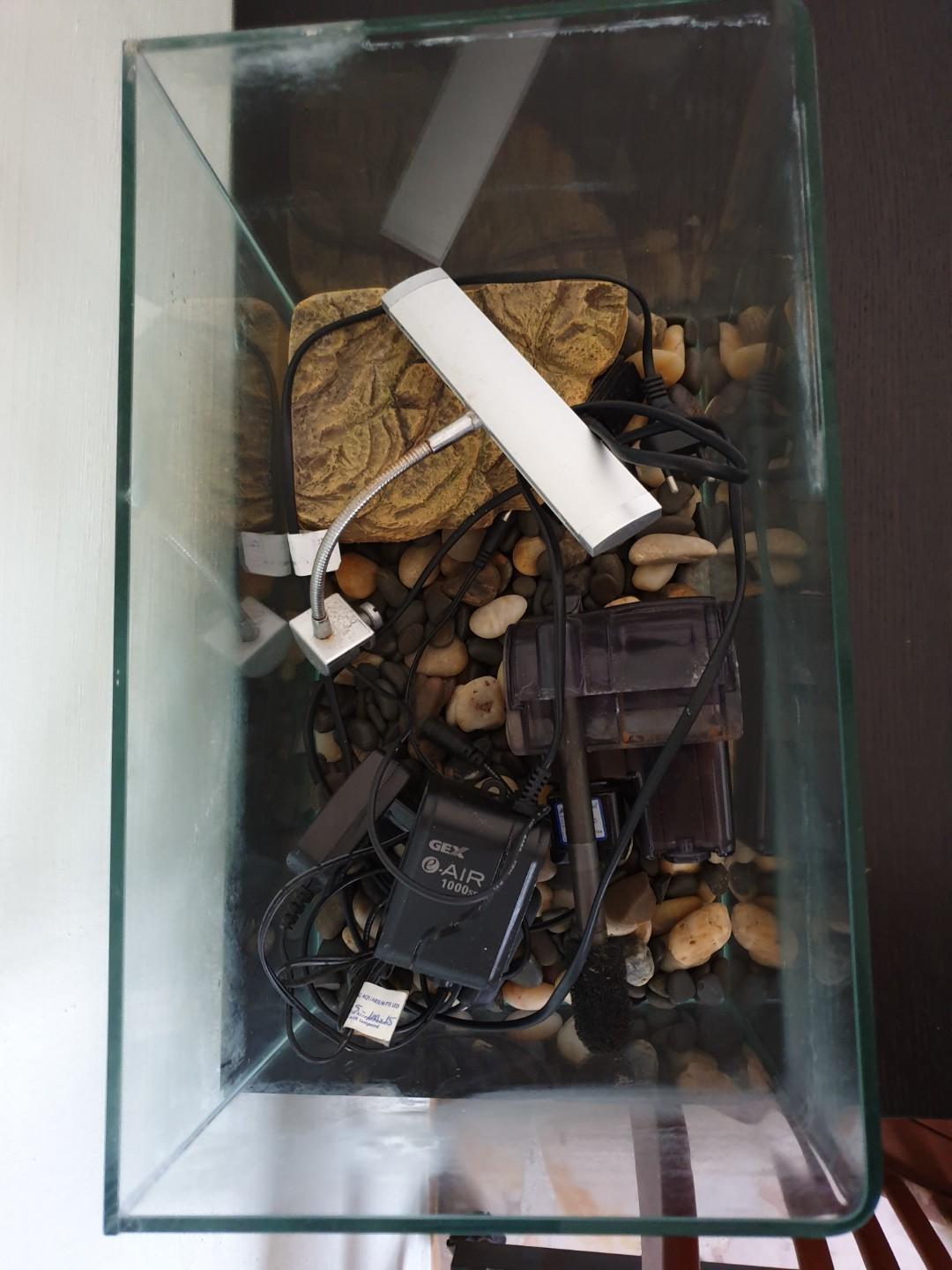 Used Aquarium, Pet Supplies, Homes & Other Pet Accessories on Carousell - Used Aquarium Prices Online