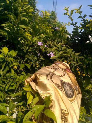 Golfen Brown Scarf👑