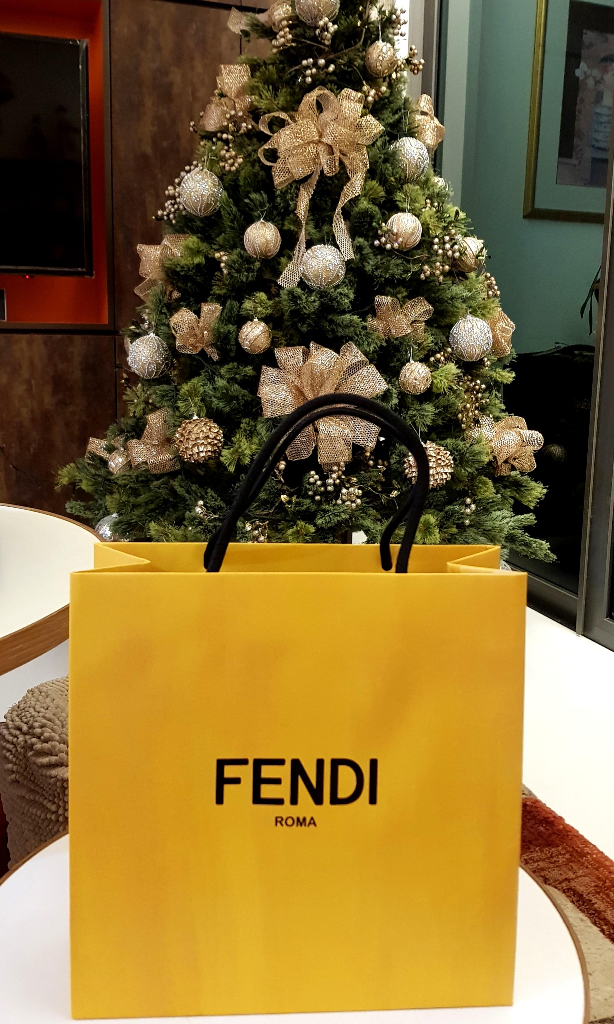 fendi gift bag