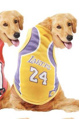 Kobe bryant best sale dog jersey