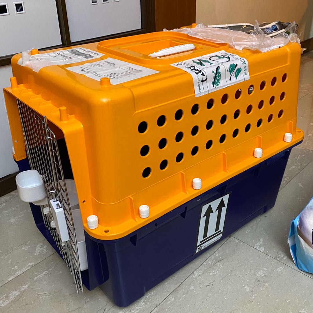 IATA approved crate PP30, Pet Supplies, Homes & Other Pet Accessories