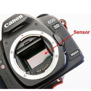 Camera Sensor Cleaning