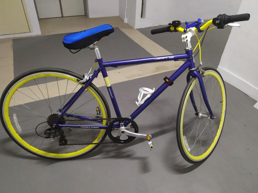giant bicycle tubes
