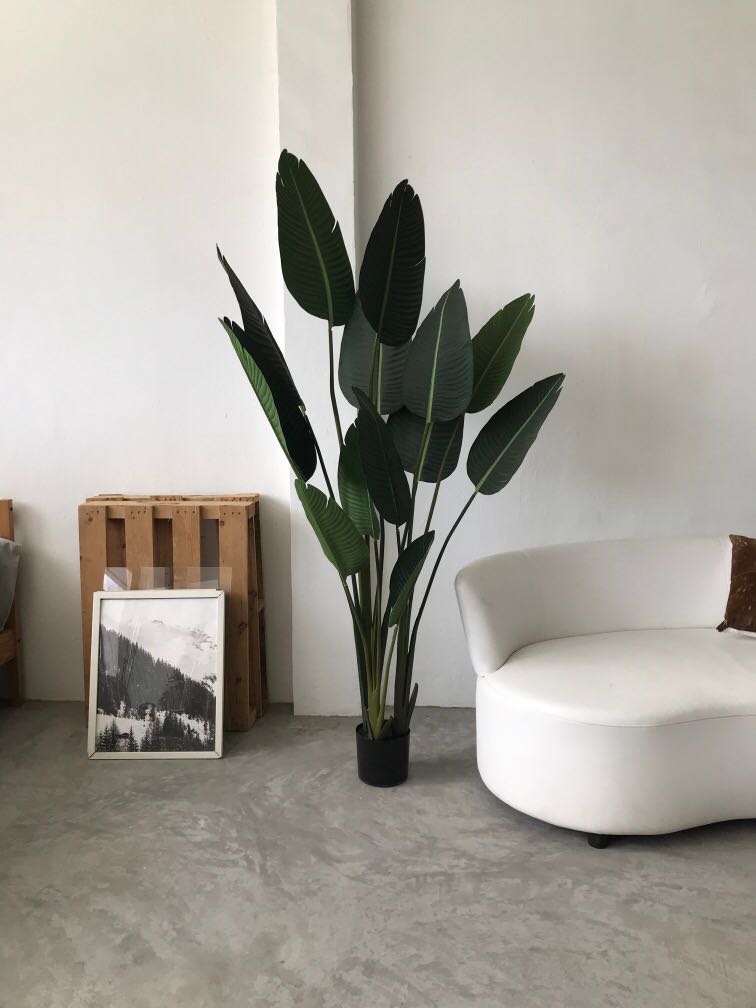 Artificial Heliconia Birds Of Paradise Furniture Home Decor Others On Carousell