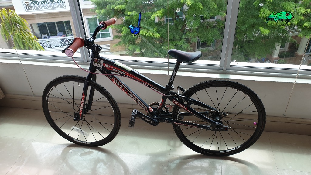 Intense mini bmx race bike online