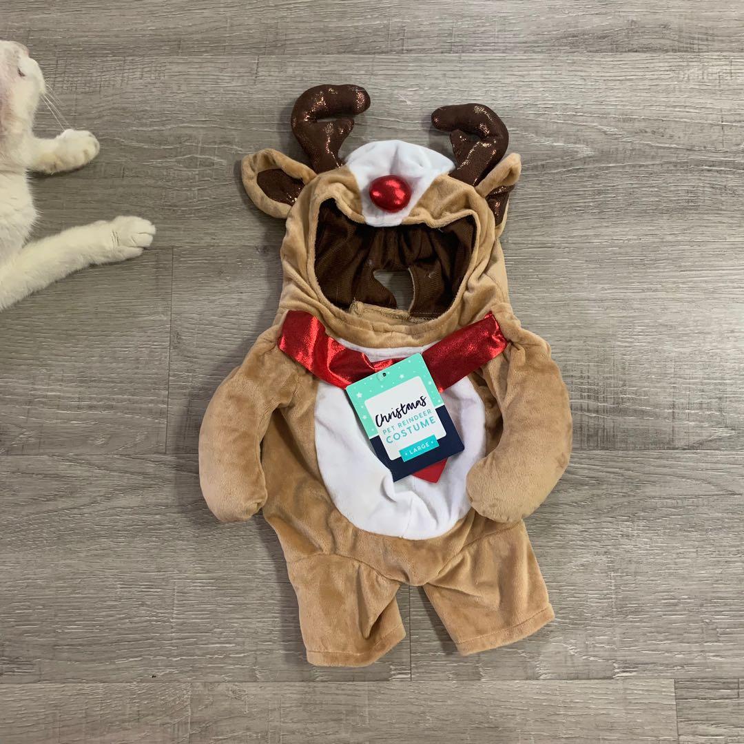 Reindeer costume outlet kmart
