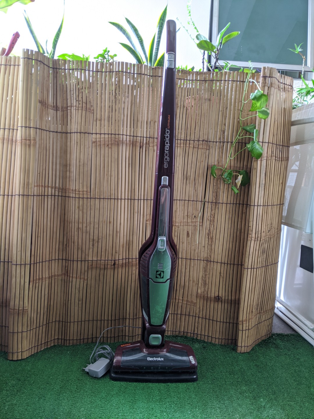 Electrolux standing vacuum cleaner no cord, no bag technology, TV
