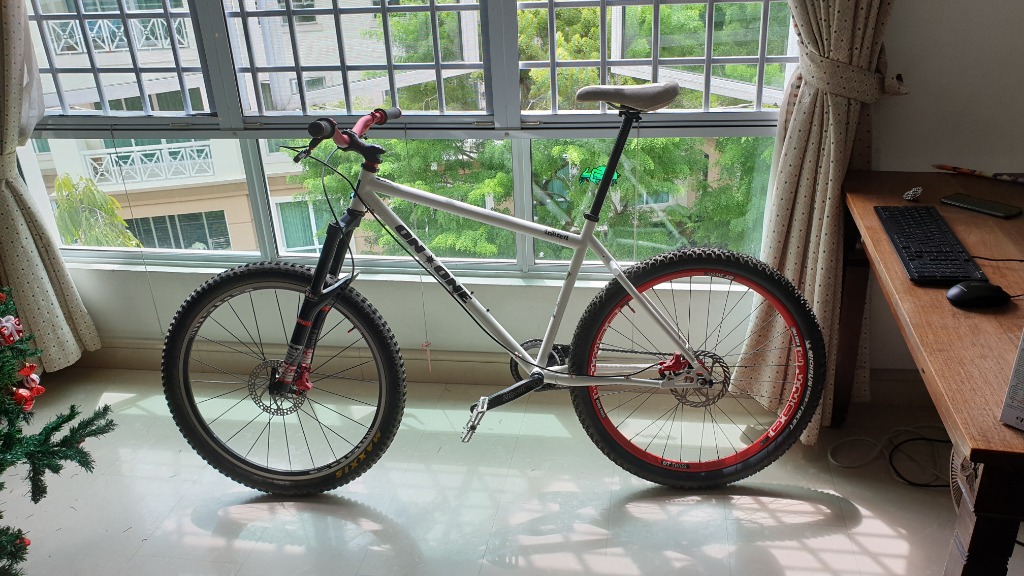 On one clearance inbred bike