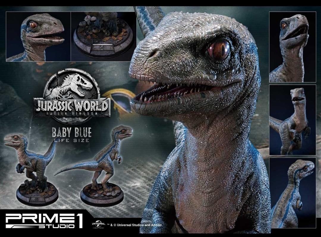 Prime 1 Life Size Jurassic World Fallen Kingdom Film Baby Blue Lmcjw2 02 Hobbies Toys Toys Games On Carousell