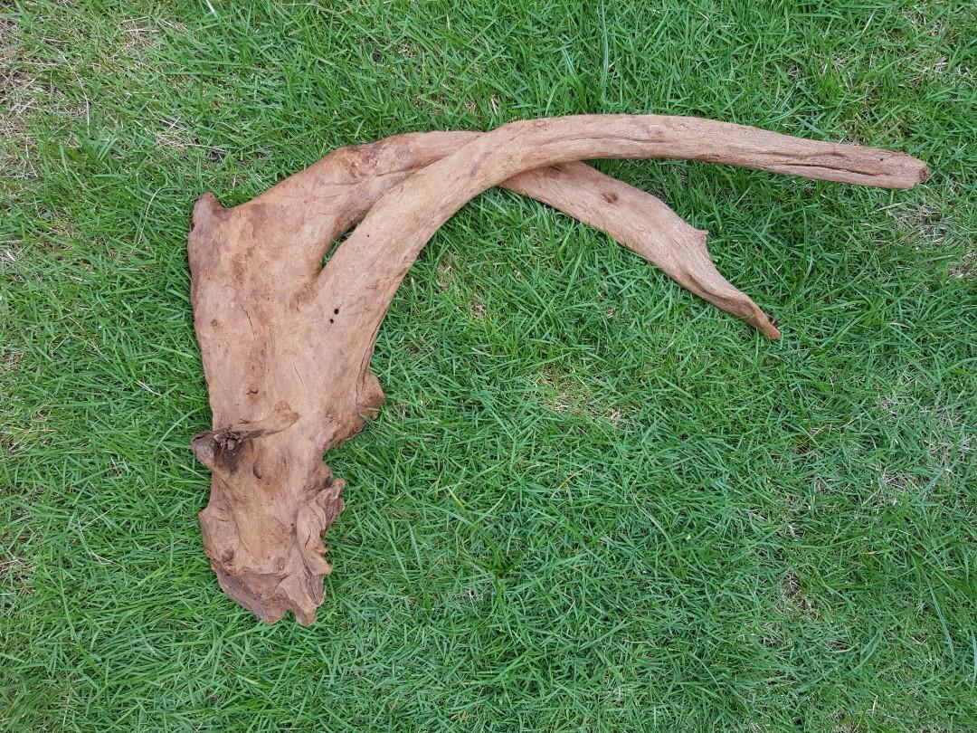 Driftwood, large heavy sinking, Pet Supplies, Homes & Other Pet