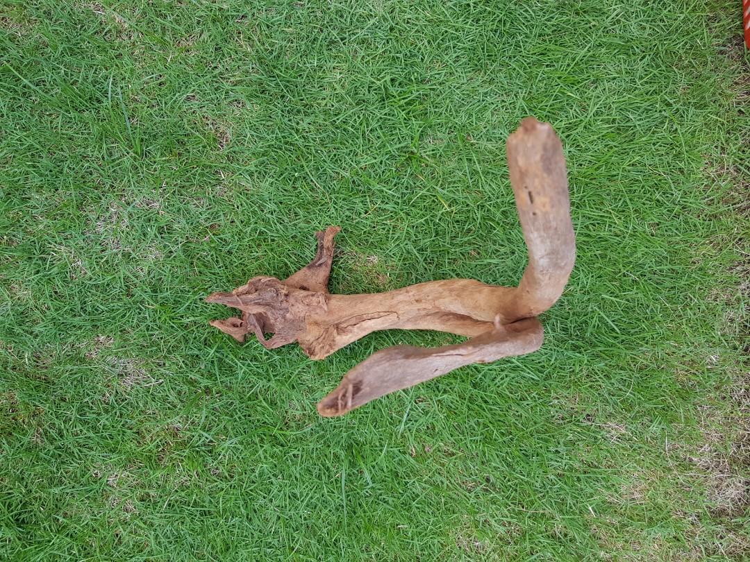 Driftwood, large heavy sinking, Pet Supplies, Homes & Other Pet