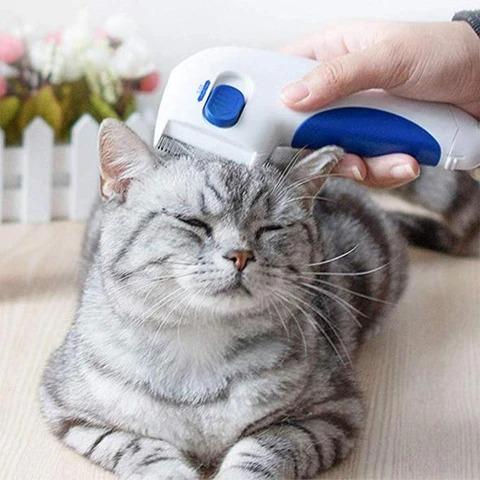 Electric flea & tick comb for clearance cats dogs